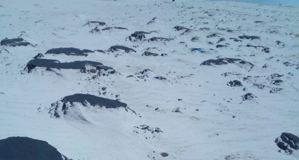 Pelo menos 700 kg de óleo foram retirados da praia de Travosa