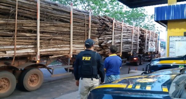 Motorista suspeito de estar alcoolizado é preso pela PRF na BR-010