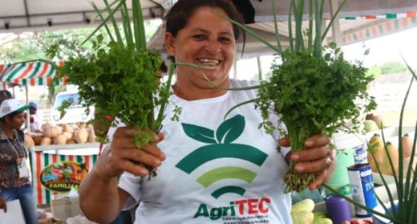 Agritec acontece até sexta-feira (8) em Barreirinhas