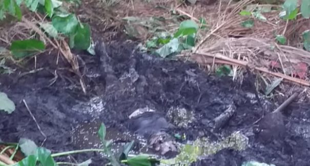 Corpo é encontrado em cova rasa na Vila Embratel