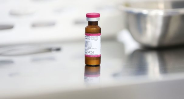 Hoje é Dia D de vacinação contra sarampo para adultos de 20 a 29 anos