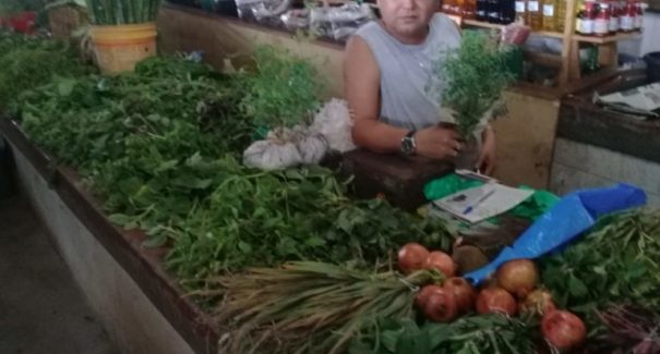 A Medicina natural em São Luís