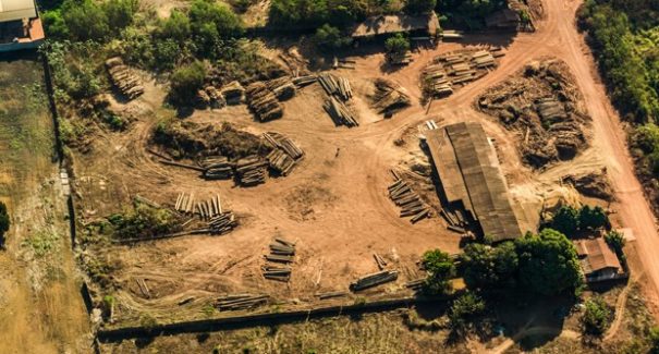Desmatamento no Maranhão diminui 15%
