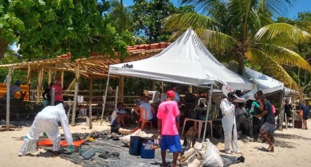 Óleo já atingiu pelo menos 675 áreas de 116 cidades, informa Ibama