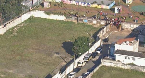 Menino de 10 anos morre após ataque de seis pitbulls em SP