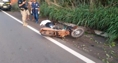 Idoso morre ao colidir em galhos de árvores e cair de motocicleta na BR-226