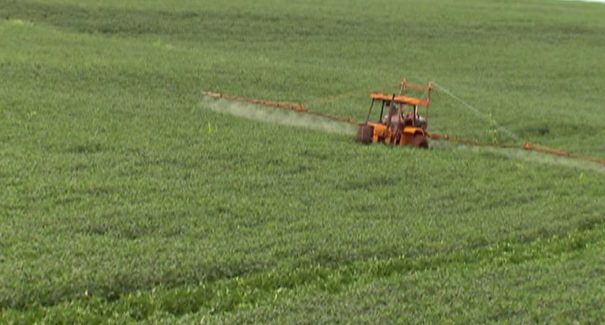 Brasil bate recorde de liberação de agrotóxicos