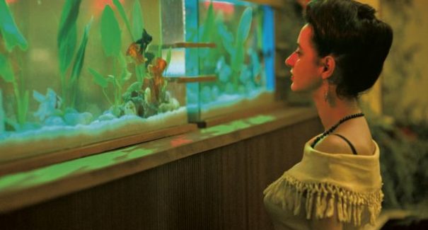 Brasil fica sem representante  do Oscar de filme estrangeiro