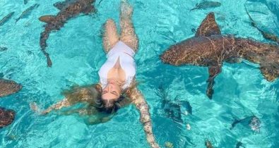 Blogueira brasileira é mordida por tubarão nas Bahamas