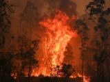 Sobre para 16 número de mortos em incêndios na Austrália