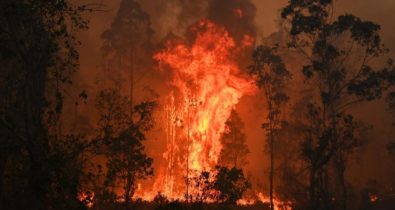 Sobe para 16 número de mortos em incêndios na Austrália