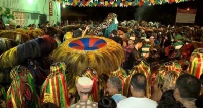 Boi de Maracanã prepara festa alusiva ao ritual de “morte”