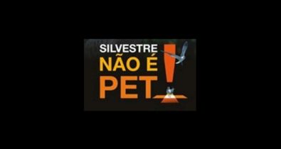 Homem é detido na BR-135 por transporte ilegal de animais silvestres