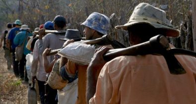 Em 15 anos, mais de 8 mil pessoas foram resgatadas de trabalho escravo no Maranhão