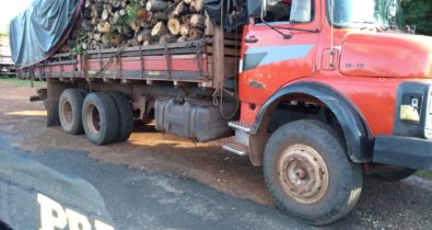Polícia Rodoviária Federal apreende 20m³ de madeira nativa irregular