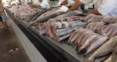 Pescados tem preços oscilantes em São Luís
