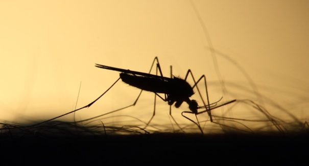 As doenças comuns no verão e como se prevenir delas