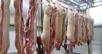 Carne de porco vira opção para fugir da alta do preço da carne bovina