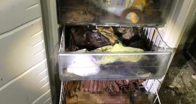 Polícia encontra cães congelados em freezer