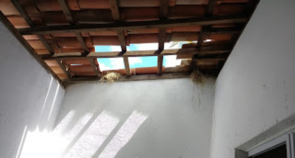 Vídeo: Homem é preso após esfaquear idosa e assaltar casas em condomínio