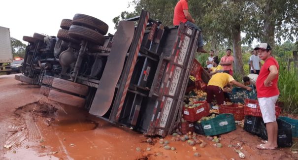 Caminhão verdureiro tomba na BR-316