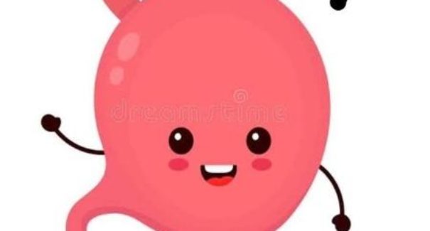 Memes “fofos” de orgãos humanos viralizam na intenet