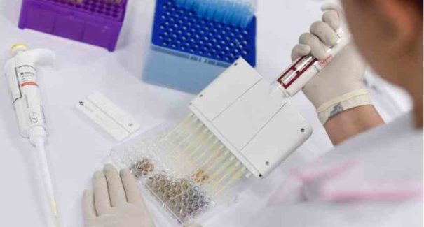 Coronavírus: Governo aposta em testes rápidos para conter a pandemia