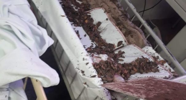 Parte do forro do Hospital da Criança desaba em São Luís; veja vídeo