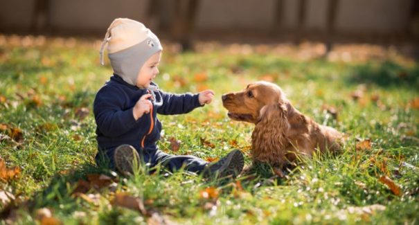 Saiba a importância de cães para crianças