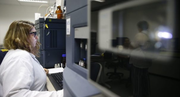 Mulheres são maioria entre trabalhadores com ensino superior