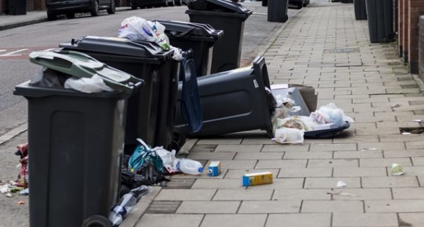 Governo federal inicia consulta de planejamento para resíduos orgânicos urbanos