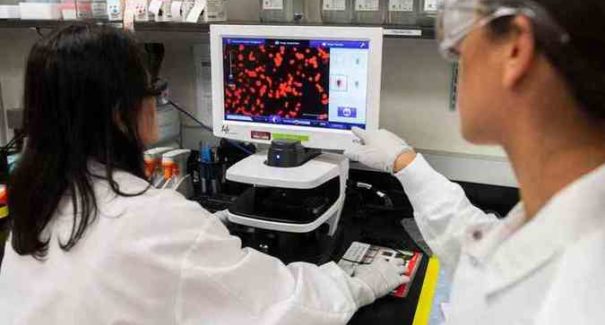 Mais da metade dos diagnosticados com COVID-19 no Brasil já estão recuperados