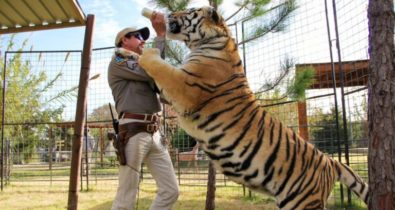Série sobre máfia dos tigres bate recorde na Netflix