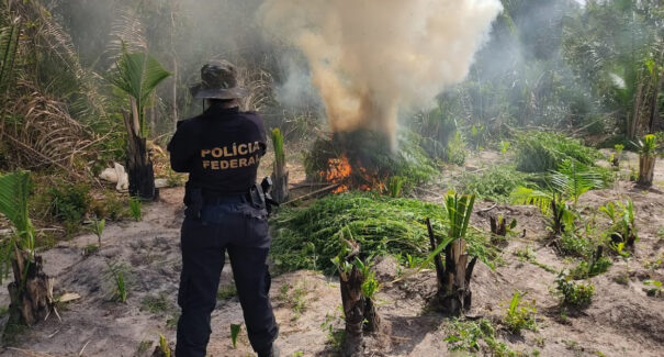 PF realiza operação de combate ao tráfico de drogas em Centro Novo