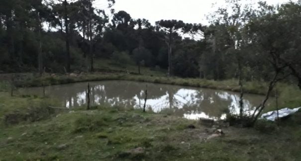 Raio atinge jovens que banhavam em açude e deixa dois mortos