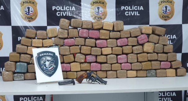 Polícia Civil realiza operação contra tráfico de drogas e apreende 100kg de maconha