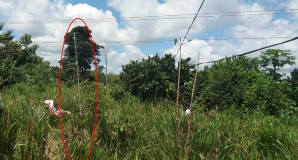 Dois homens morrem eletrocutados no Córrego da Prata, zona rural de Cidelândia