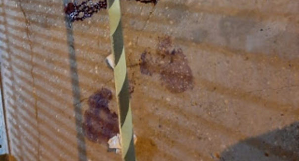 Homem natural de Lago da Pedra/MA é vítima de chacina no estado do Mato Grosso