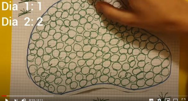 VÍDEO: Pesquisador cria enigma para explicar o crescimento da pandemia
