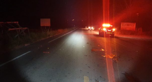 Motociclista fica gravemente ferido após atropelar animal na BR-222
