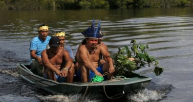 Ervas medicinais salvam indígenas no tratamento contra o coronavírus no Brasil
