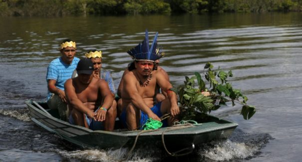 Ervas medicinais salvam indígenas no tratamento contra o coronavírus no Brasil