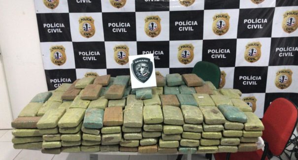 Polícia apreende 250 kg de maconha durante operação no interior do estado
