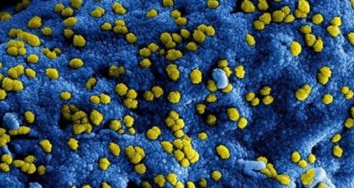 Novo coronavírus ataca diversos órgãos do corpo