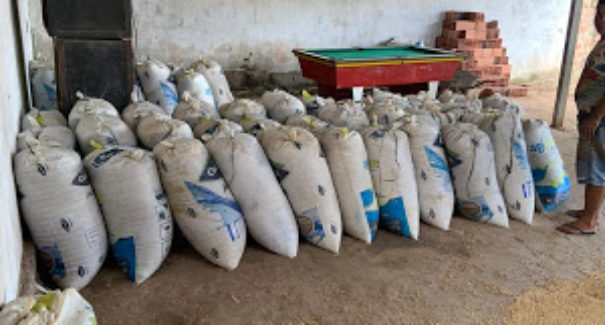 Polícia apreende caminhões com mais de 180 toneladas de soja furtada