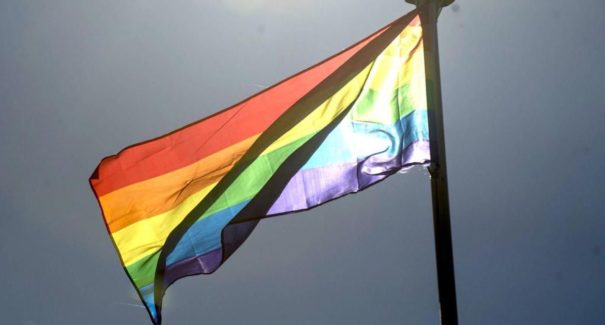 Paradas virtuais celebram Dia do Orgulho LGBTI no Brasil e no mundo