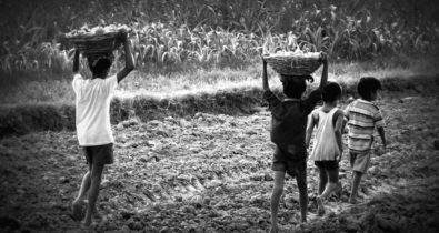 Maranhão é o 5º do país em exploração do trabalho infantil