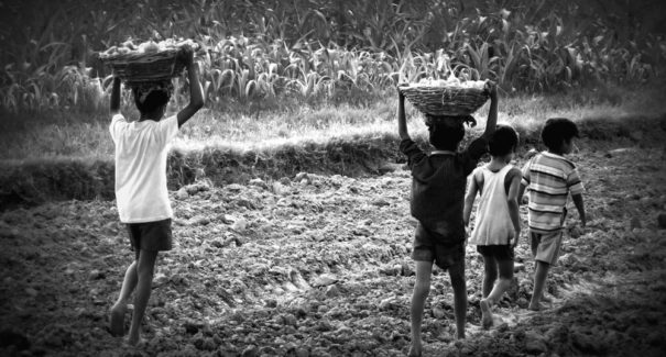 Maranhão é o 5º do país em exploração do trabalho infantil