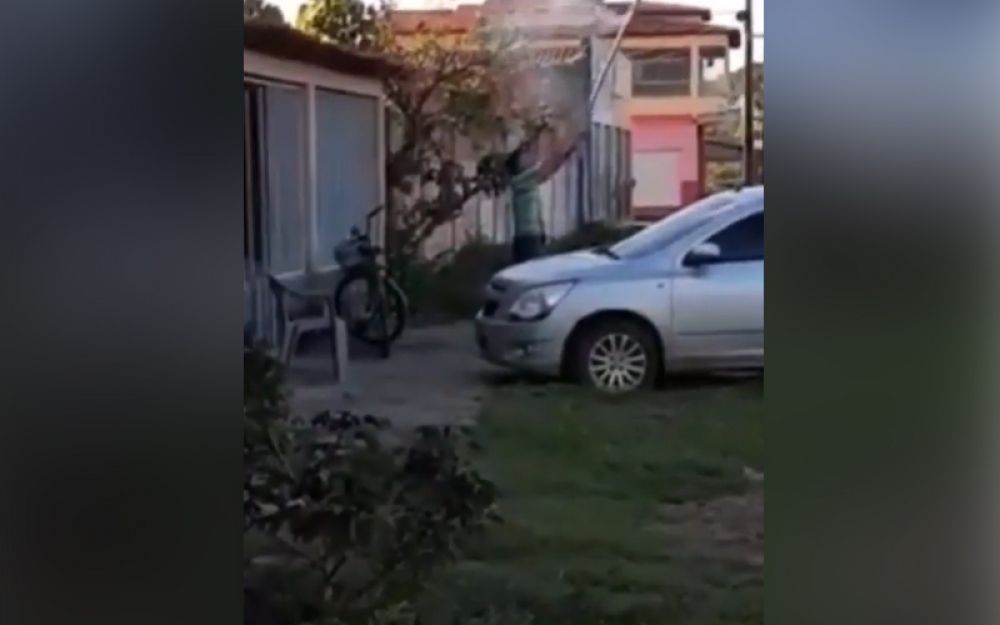 Divulgação