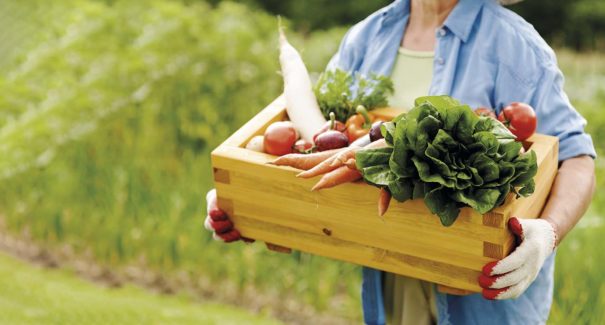 Dia da Gastronomia Sustentável: Conceito e vantagens